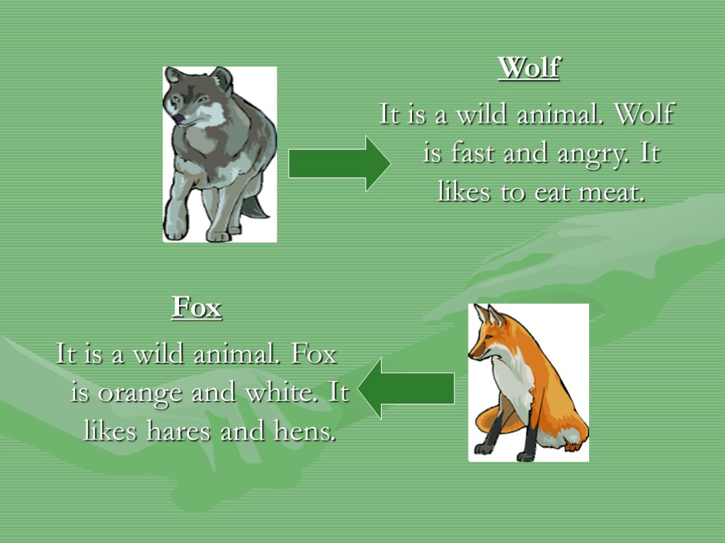 Wolf It is a wild animal. Wolf is fast and angry. It likes to